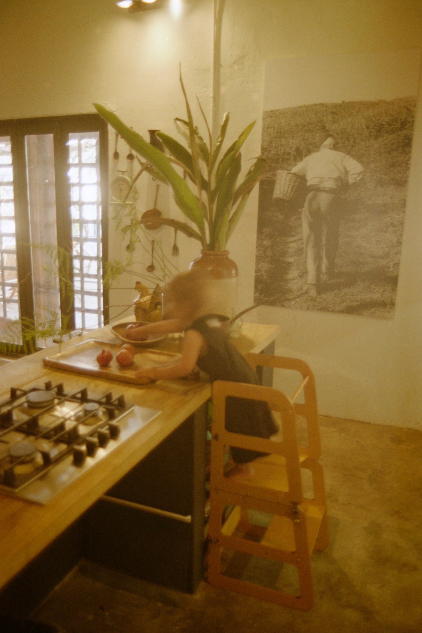 Convertible Learning Tower “Step and Sit”