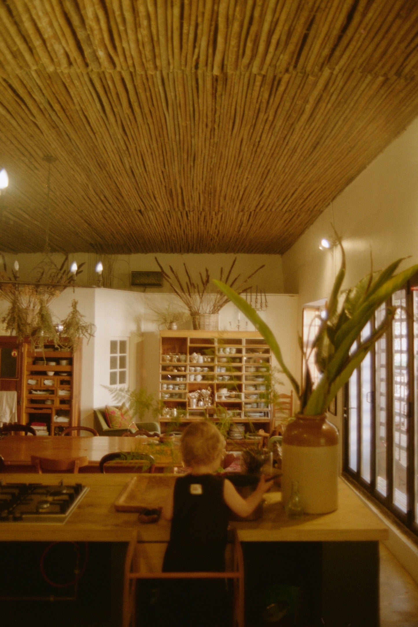 Convertible Learning Tower “Step and Sit”