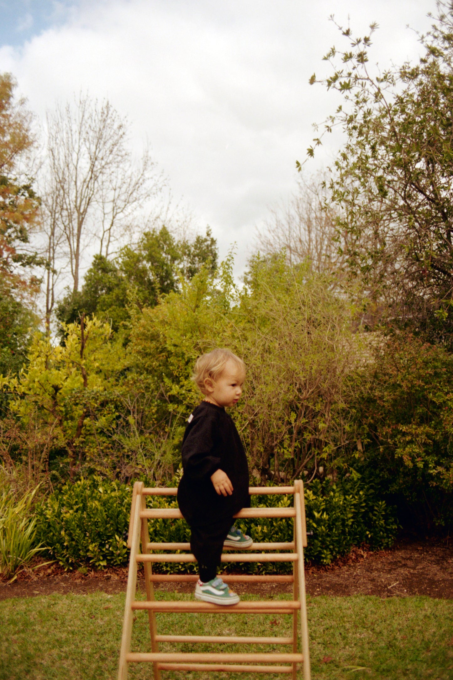 Convertible Pikler Triangle and Art Easel “Climb and Create”