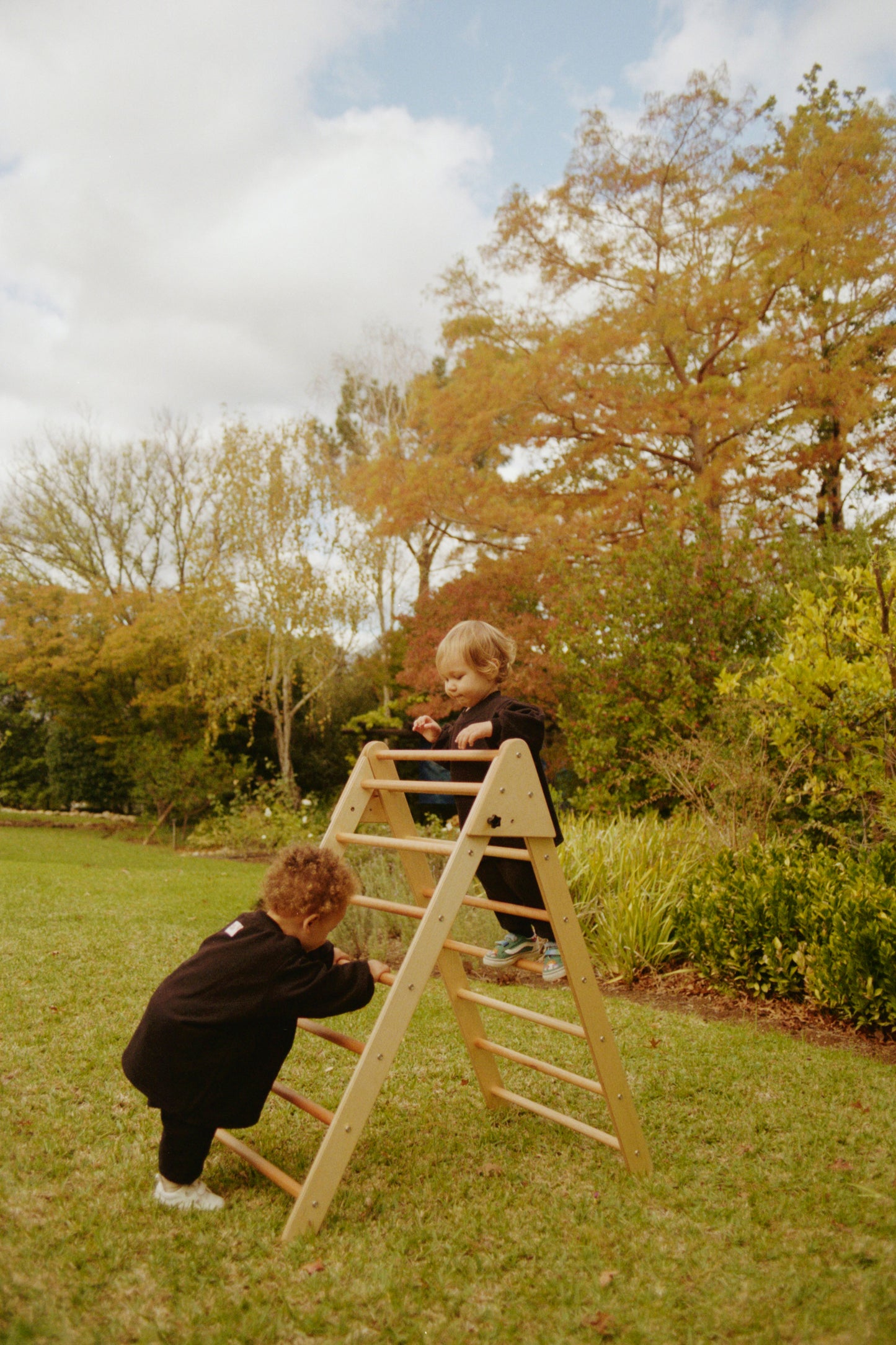 Convertible Pikler Triangle and Art Easel “Climb and Create”